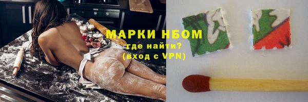 прущие грибы Баксан