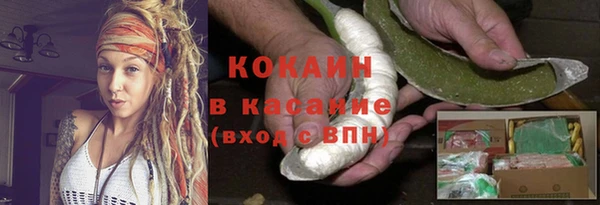 прущие грибы Баксан