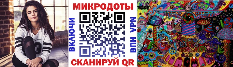 закладка Гурьевск Галлюциногенные грибы Psilocybine cubensis